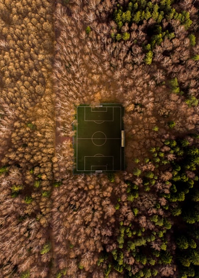 أهداف نهائي دوري أبطال أفريقيا 2022لحظات تاريخية لا تُنسى