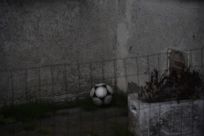نتيجة مباريات اليوم في الدوري المصري الممتاز نتيجة مباريات اليوم في الدوري المصري الممتاز